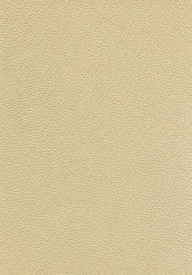 Lychee-grain Leather Sample