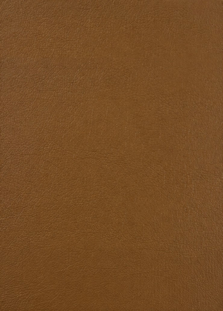 Vegetable-tanned Leather Sample
