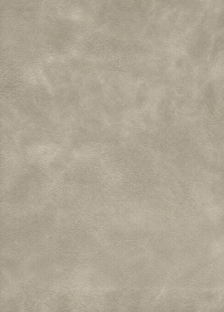 Vegetable-tanned Leather Sample