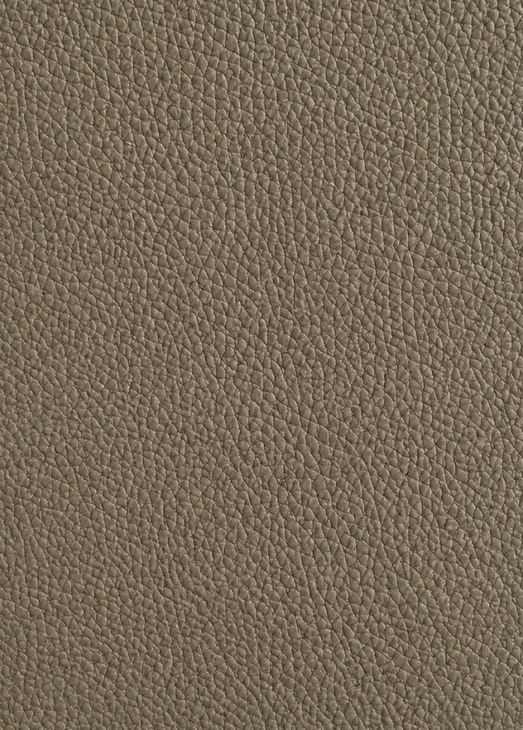 Top-grain Natural Cowhide Leather Sample