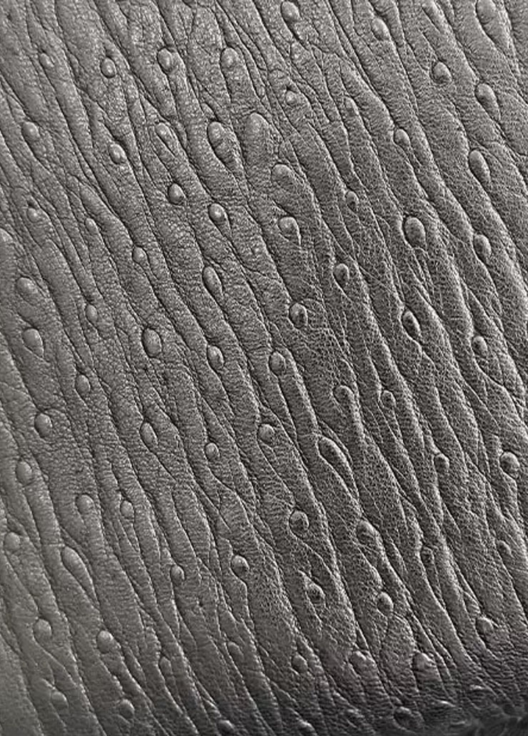 Genuine Sheepskin Leather Sample