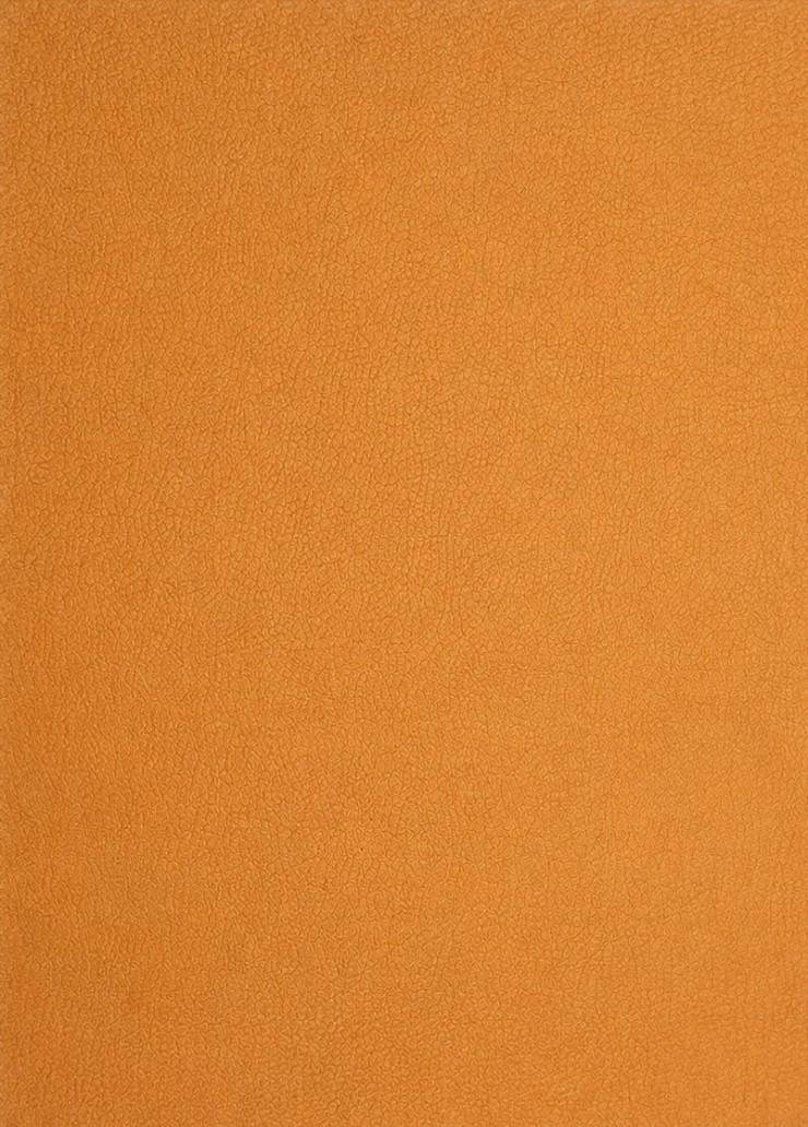 Water Base PU Leather Sample